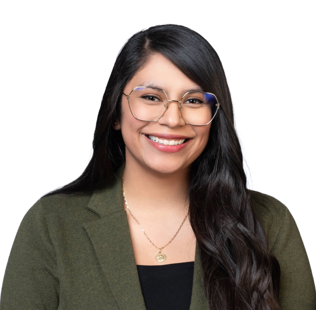 Icon linkedin